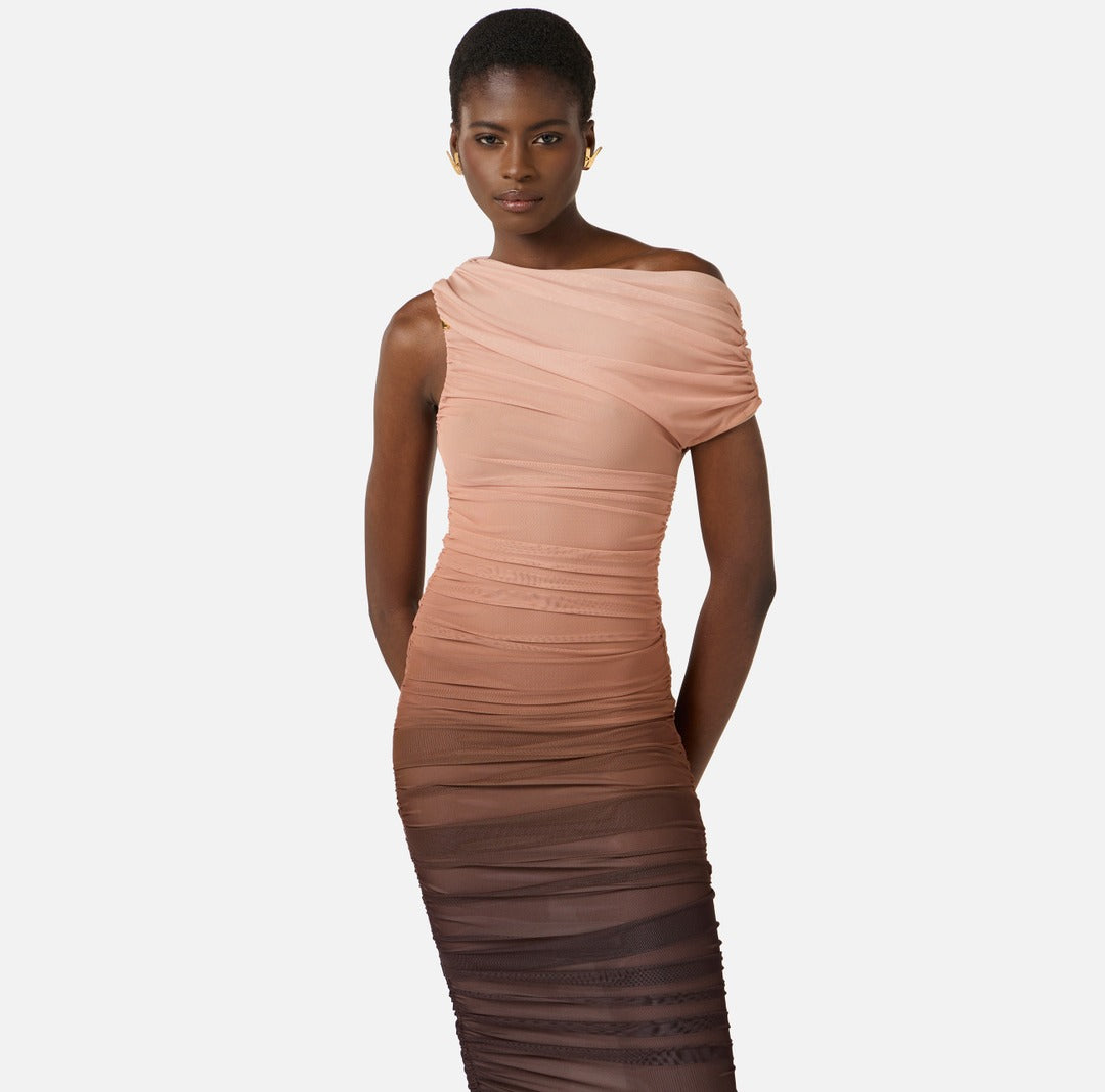 ELISABETTA FRANCHI Degrade tulle dress AB93162E2 Cacao